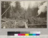 Second Growth Redwood Cutting Experiment, Project #688, Big River, Mendocino County, California. General view of cutting plot showing donkey engine, shear-legs, and car of logs. May 1923, E. Fritz