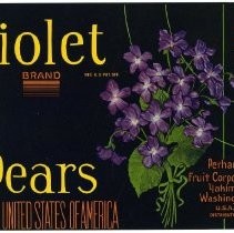 Violet Brand