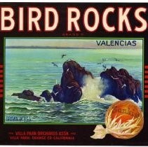 Bird Rocks Brand Valencias
