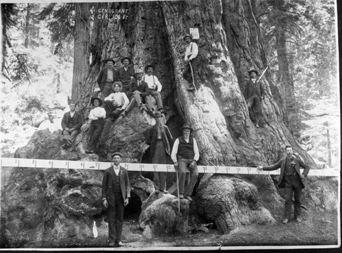 General Grant Tree, Misc. Groups, Early Millwood visitors to Grant Tree, early 1900's