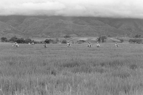 Sowing the field, La Chamba, Colombia, 1975