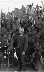 Luther Burbank and his wonderful thornless cactus, Santa Rosa, California
