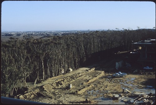 Revelle College plaza area site