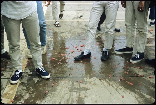 Students view the point of watermelon impact