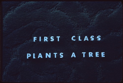 "First Class Plants a Tree" [title slide]