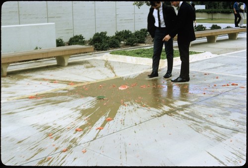 Students view the point of watermelon impact