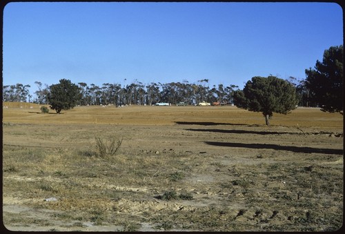 Looking east from Torrey Pines Road toward the future Galbraith Hall building