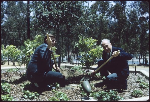 Carl Eckart and student from the class of 1968 plant a tree