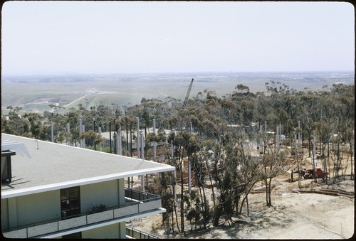 York Hall under construction