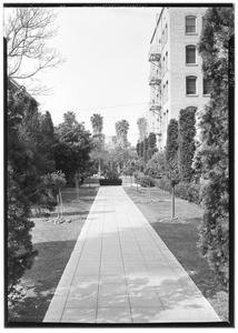 View of a garden path