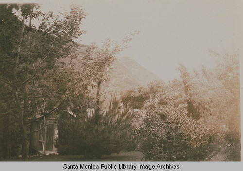 Classrooms behind the Tabernacle, with oaks and pines in the foreground, Temescal Canyon, Calif