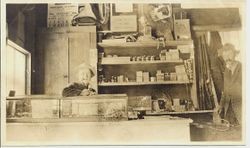 Interior of J. F. Triggs shop at 214 South Main Street, Sebastopol, California, 1916