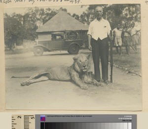 Mr. Osborn and Lion, Mihecani, Mozambique, 1939