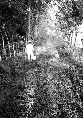 Man with bucket walking on a trail, San Basilio de Palenque, 1976