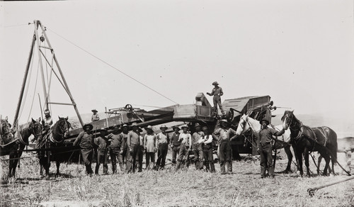 B.F. Conaway photograph of threshing crew