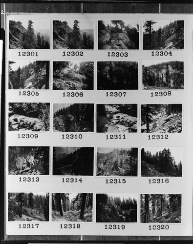 Multiple-image copy film negative with images of surveys for a proposed wood-stave pipeline from Huntington Lake to Shaver Lake: #02-12301 to #02-12320
