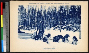 Man standing with sled team in a snowy forest, Canada, ca.1920-1940