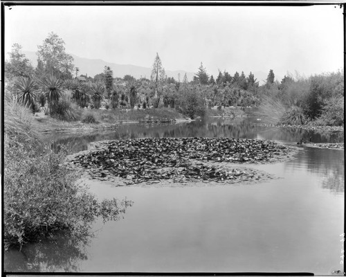 Reservoir of the San Marino ranch, ca. 1918