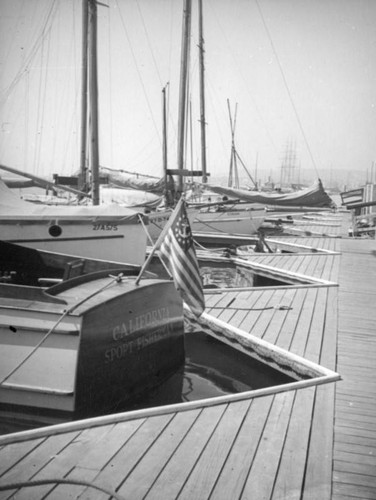 Yachts docked at Balboa in Newport Beach