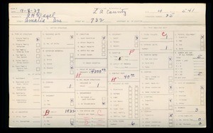 WPA household census for 732 AMALIA, Los Angeles County