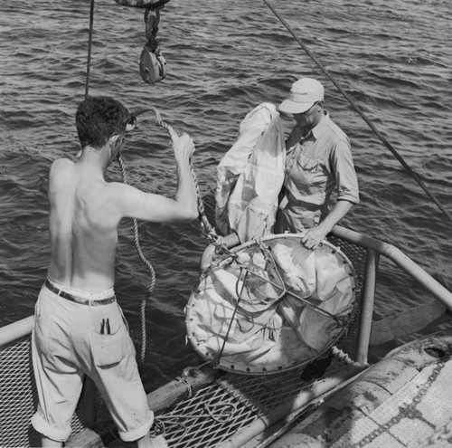 Theodore Robert Folsom (left) and Martin W. Johnson with a plankton net aboard R/V Spencer F. Baird