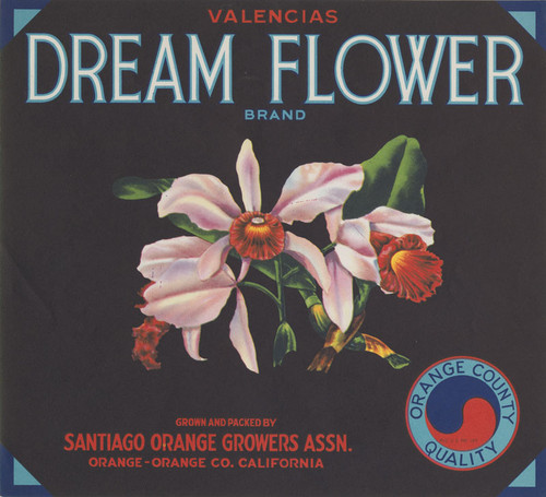 Crate label for "Dream Flower Brand" Valencias, Santiago Orange Growers Association., Orange, California, 1930-1940