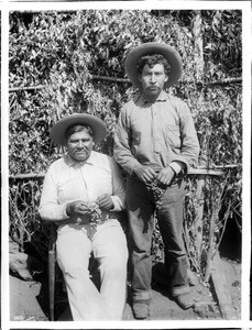Two Yokut Indian men with grapes, Tule River Reservation near Porterville, California, ca.1900