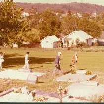 Visitation to Linkville Cemetery 1979: Linkville Cemetary