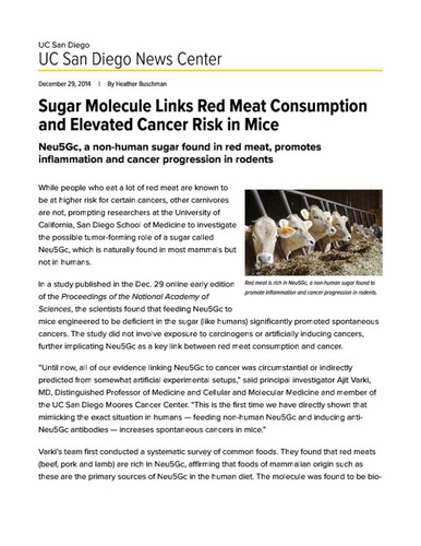 Sugar Molecule Links Red Meat Consumption and Elevated Cancer Risk in Mice