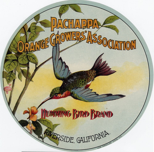 Crate label, "Hummingbird Brand." Pachappa Orange Growers' Association