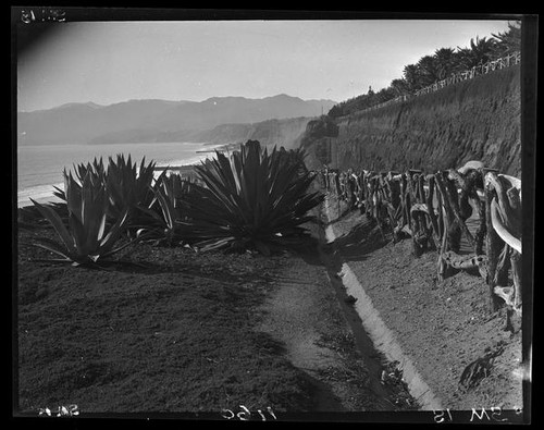 Palisades Park cliffs and Santa Monica shoreline, Santa Monica, 1929