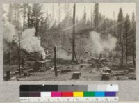 Yosemite Lumber Company, one of the settings of Camp 15 in Yosemite National Park. High lead yarding engine to left