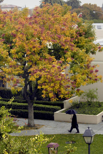 Fall, Autumn exteriors with students