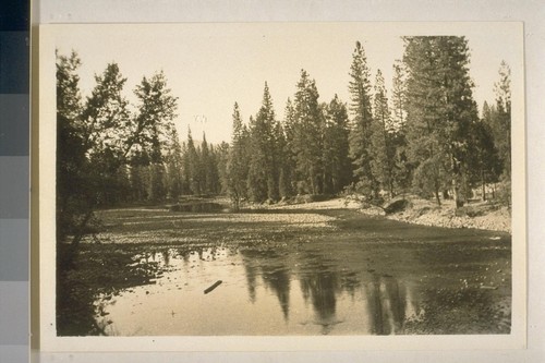 Scenery, East fork of Trinity River; 26 September 1932; 3 prints