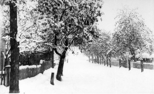 Snowy Street in Yreka