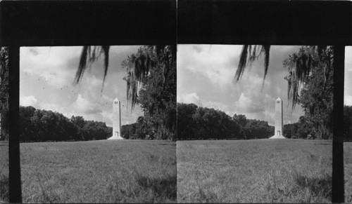 Andrew Jackson battlefield and monument. La