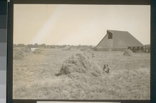 No. 146. David C. Peters barn with D. L. Schuman barn wing in the distance