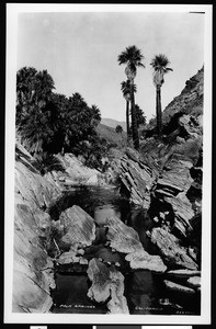 Palm Canyon near Palm Springs, showing a stream and rocks, ca.1900
