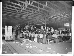 Interior of packing house, probably Covina, California