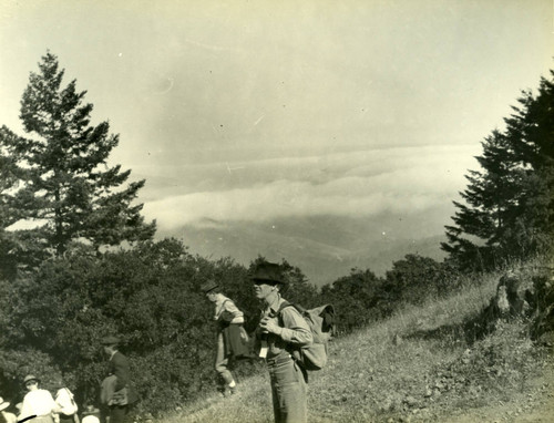 View from the Mountain Theatre, Mt. Tamalpais, circa 1926 [photograph]