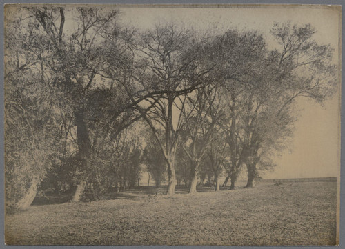 Cook's Pond, near Pacific Manufacturing Co. Lumberyard, ca. 1904
