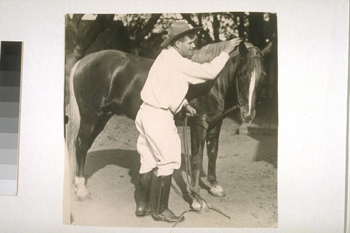 [Jack London petting a horse.]