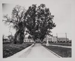 View of Santa Rosa High School, Crawford Court, Santa Rosa, California, in 1941