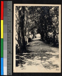 Road near missionary residence, Kuling, Jiangsu, China, ca.1900-1932