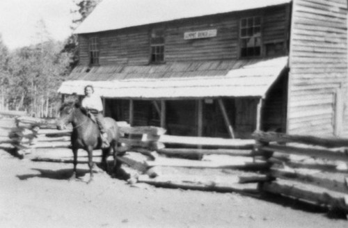 Celia Marten on horseback (Butte Meadows - Jonesville area.)