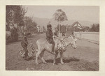 [Flower-decorated burro and bicycle]