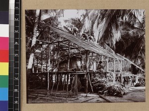 Men thatching roof, Delena, Papua New Guinea, ca. 1905-1915