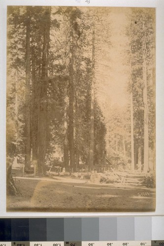 Hazel Green, Stopping Place on the Coulterville Road to Yosemite Valley