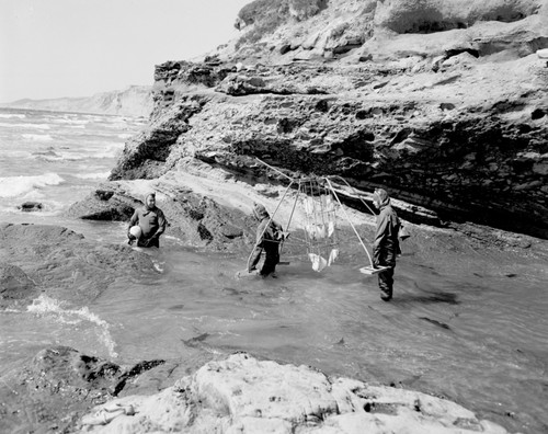 Sediment Trap on Scripps beach: divers David Poole, Donald Sayner and Robert M. Norris. 1949