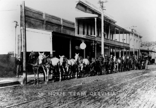 Horse team in Downtown Oroville